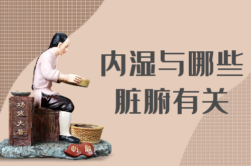 内湿与哪些脏腑有关？