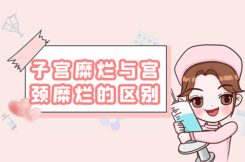 子宫糜烂与宫颈糜烂的区别有哪些？
