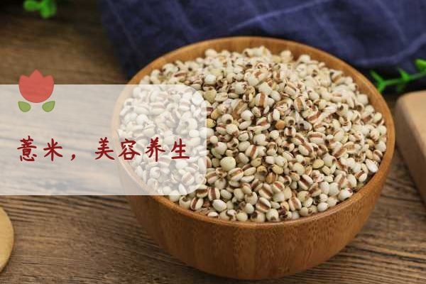薏米可以美容养颜.jpg 薏米可以美容养颜.jpg