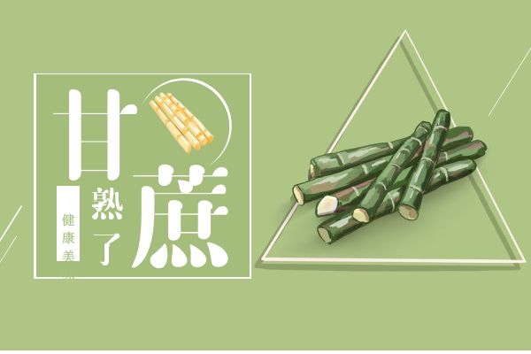 甘蔗的功效与作用是什么？以下这六种作用大家可不能不知道哦！