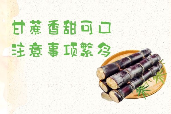 甘蔗注意事项.jpg 甘蔗注意事项.jpg