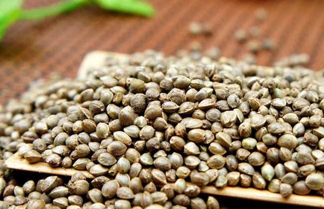 火麻仁的功效有哪些？除了缓解便秘，你还知道哪些？