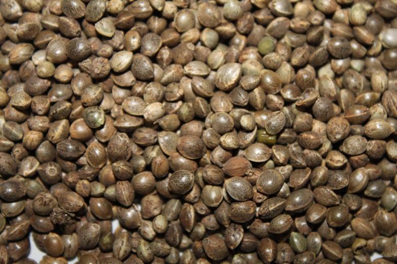火麻仁泡水喝的作用有哪些？这几大功效值得了解