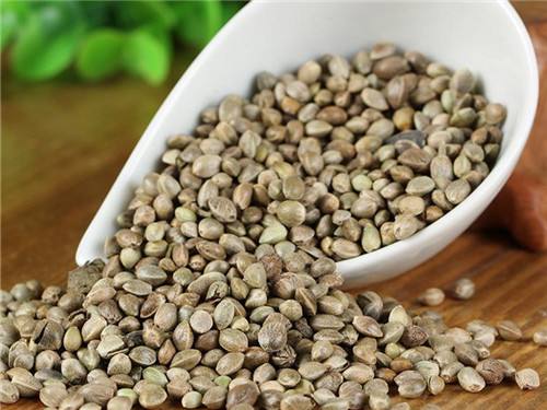 火麻仁油的功效和作用有哪些？它能增强记忆力、清除自由基?