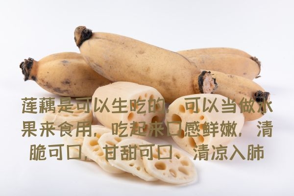 莲藕可以生吃.jpg