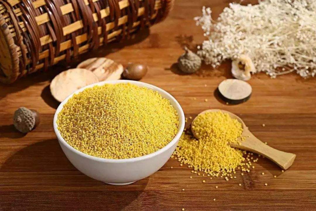 小米的功效与作用有哪些？除了调理肠胃还有这些