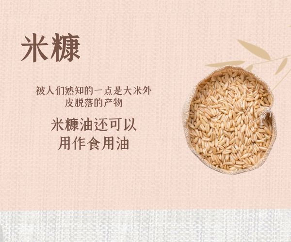 米糠的功效有哪些