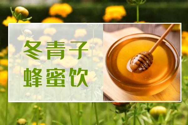 冬青子蜂蜜饮 冬青子蜂蜜饮