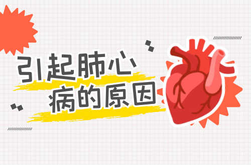 引起肺心病的原因是什么呢？常见因素有这几个