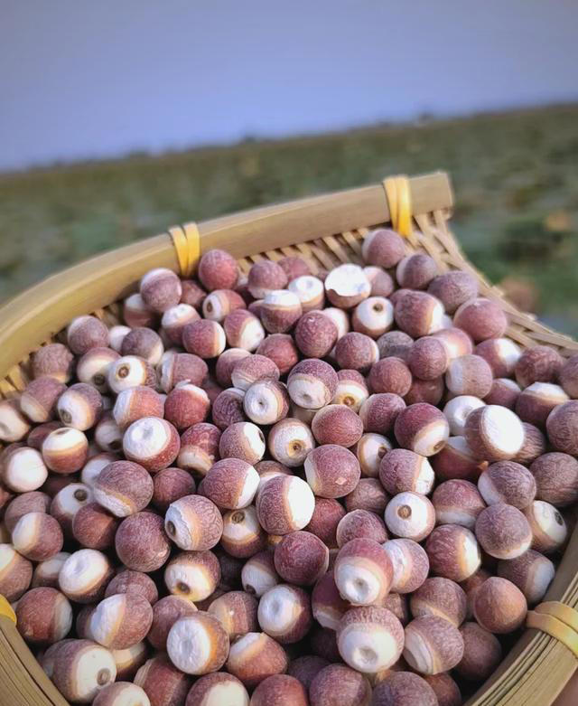 对肾非常好的4种食物，建议中老年：天热多吃，起夜少白天精神好
