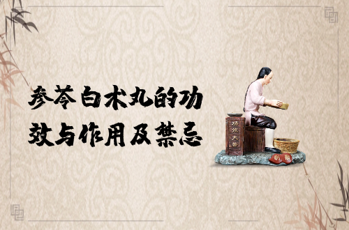 参苓白术丸的功效与作用及禁忌