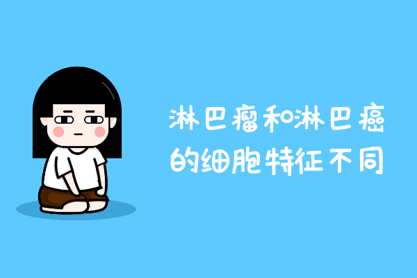 细胞特征