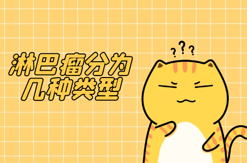 淋巴瘤分为几种类型？
