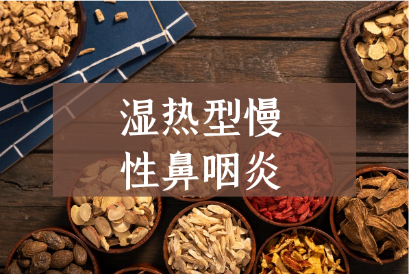 湿热证 湿热证