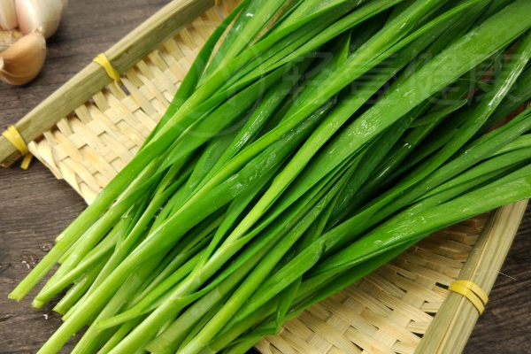 韭菜 韭菜