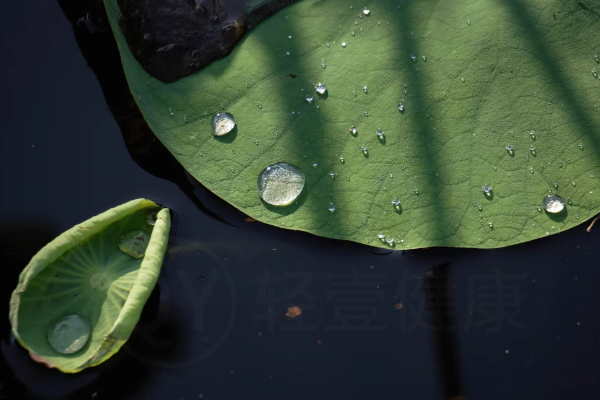 三伏