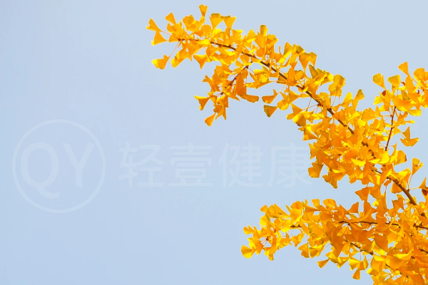 秋天