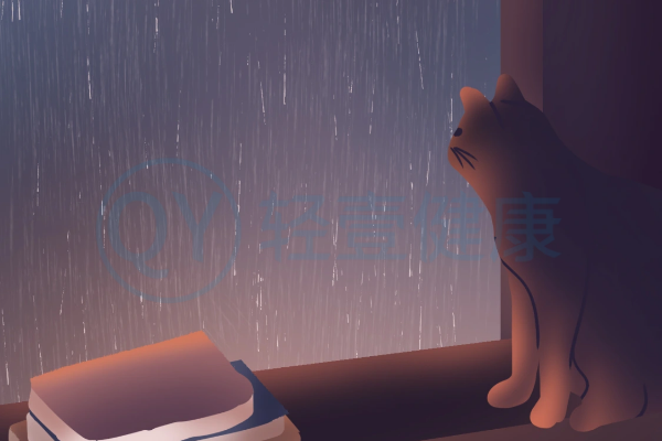 下雨 下雨