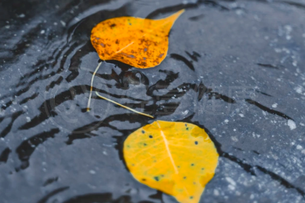 下雨 下雨