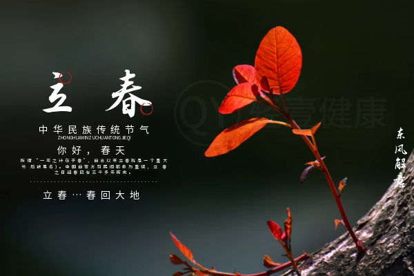 立春 立春