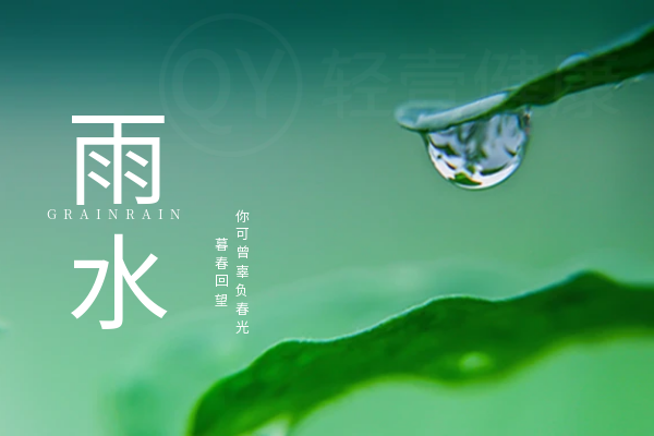 雨水 雨水