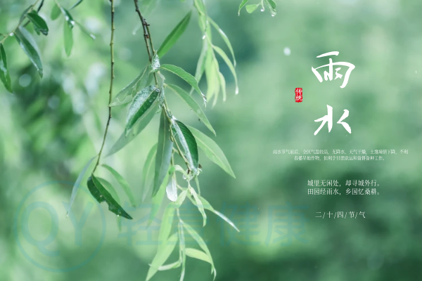 雨水 雨水