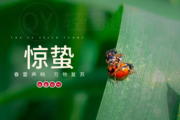 惊蛰 惊蛰