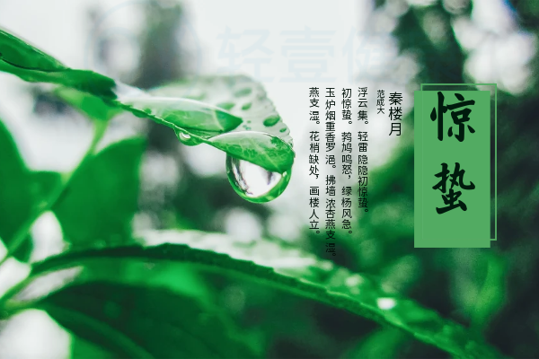 惊蛰 惊蛰