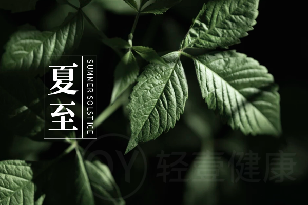 夏至 夏至