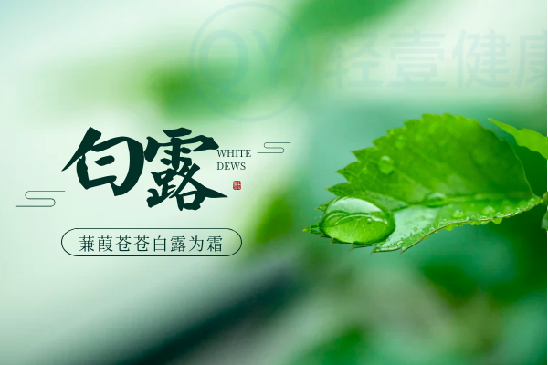 白露