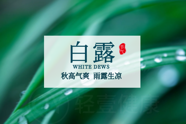 白露节