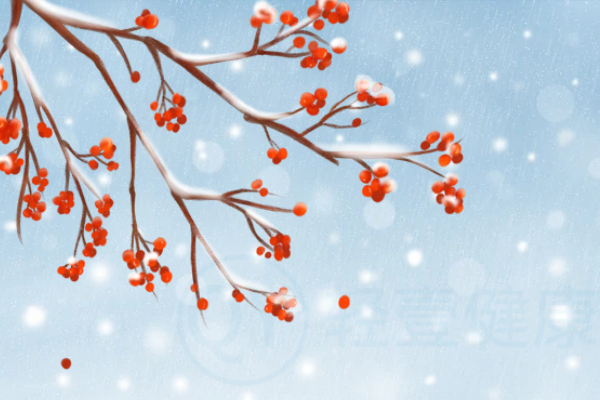 小雪 小雪