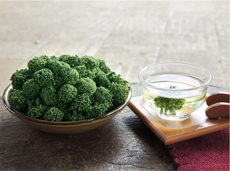 三七花可以清热解毒