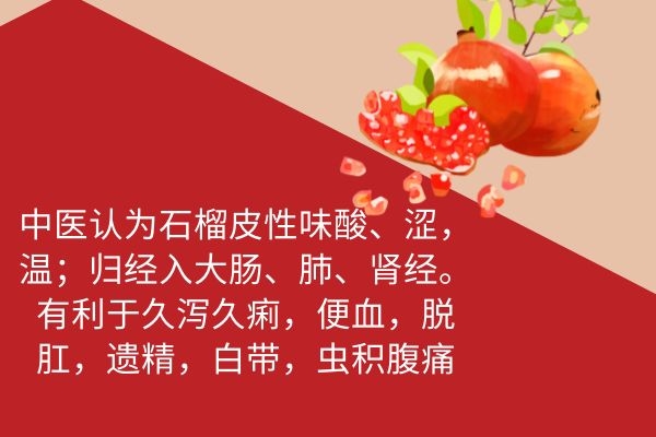 中医认为石榴皮性味酸. 中医认为石榴皮性味酸.