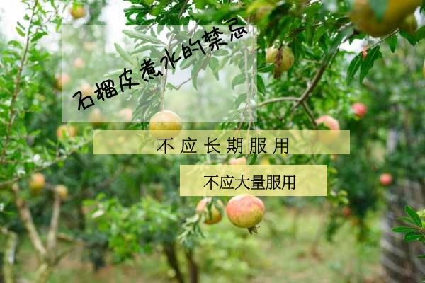 石榴水的禁忌