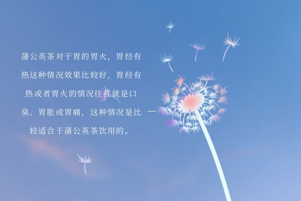 蒲公英茶