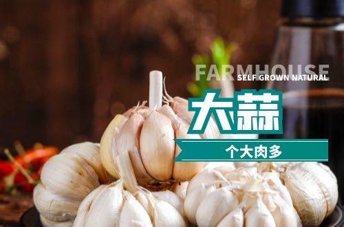 大蒜泡酒你喝过吗？那么大蒜泡酒喝的好处和禁忌分别是什么呢？