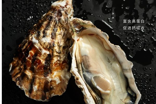 海蛎子含高蛋白.jpg 海蛎子含高蛋白.jpg