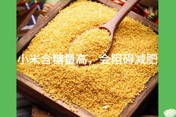 小米粥不可以减肥.jpg 小米粥不可以减肥.jpg