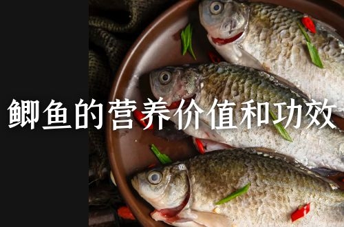鲫鱼的营养价值及功效到底有多好？大病初愈，生完孩子都被建议食用鲫鱼！