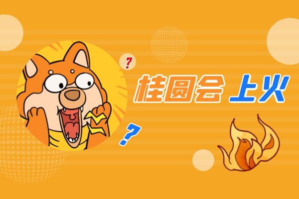 桂圆会上火.jpg