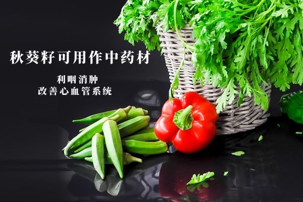 秋葵籽中药.jpg 秋葵籽中药.jpg