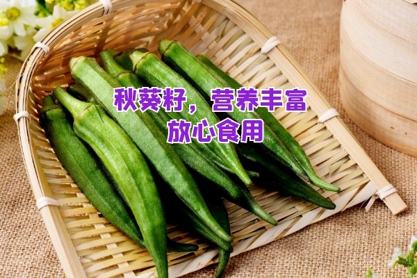 秋葵籽可以吃.jpg 秋葵籽可以吃.jpg