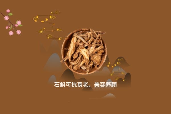 石斛可抗衰老.jpg 石斛可抗衰老.jpg