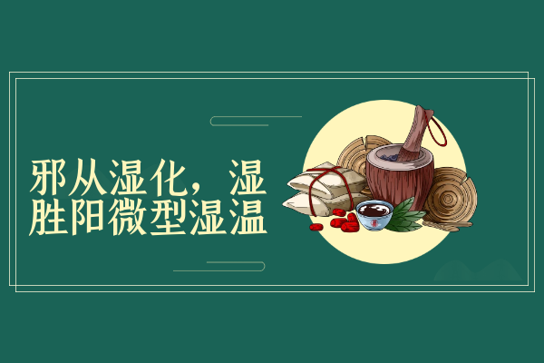 邪从湿化，湿胜阳微型
