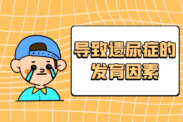发育因素