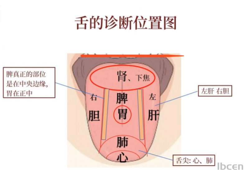 中医舌诊图解彩色图谱大全